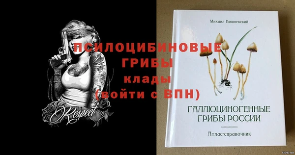 mdpv Балахна