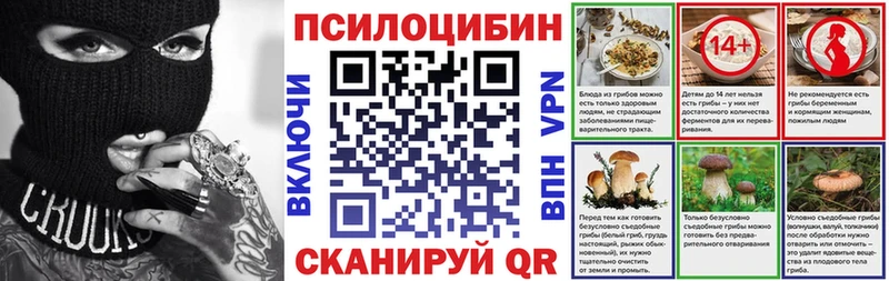 Псилоцибиновые грибы мицелий Новоржев